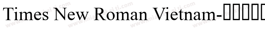 Times New Roman Vietnam字体转换
